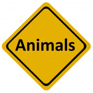 aussie-animals-road-sign