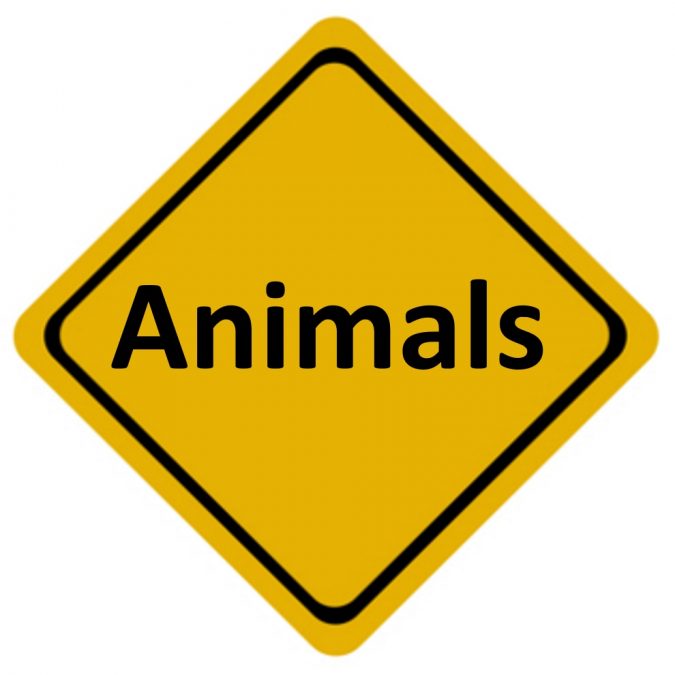 aussie-animals-road-sign