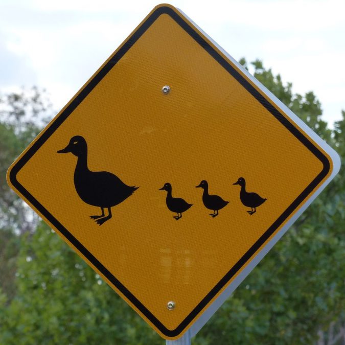 photo-gallery-road-signs