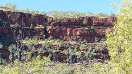 Joe Creek, Gregory, Northern Territory