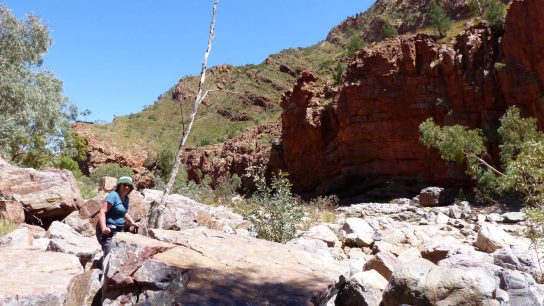 Ormiston Gorge