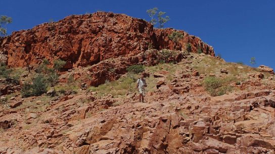 Ormiston Gorge