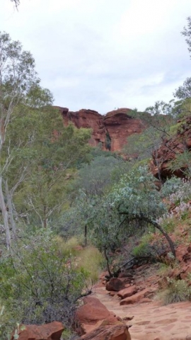 Kings Canyon Walk, Petermann, Northern Territory