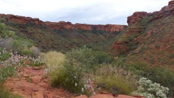 Kings Canyon Walk, Petermann, Northern Territory