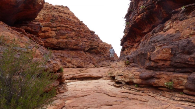 Kings Canyon Walk, Petermann, Northern Territory