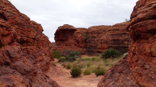 Kings Canyon Walk, Petermann, Northern Territory