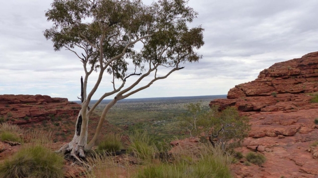 Kings Canyon Walk, Petermann, Northern Territory
