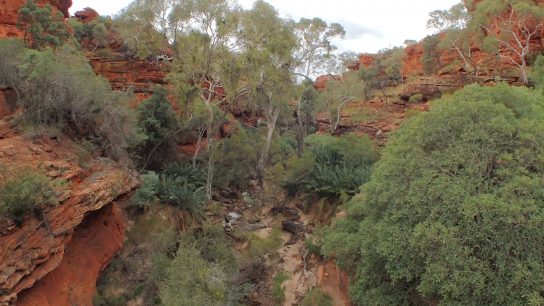 Kings Canyon Walk, Petermann, Northern Territory