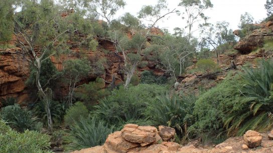 Kings Canyon Walk, Petermann, Northern Territory