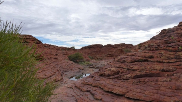 Kings Canyon Walk, Petermann, Northern Territory