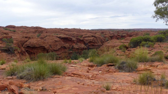 Kings Canyon Walk, Petermann, Northern Territory