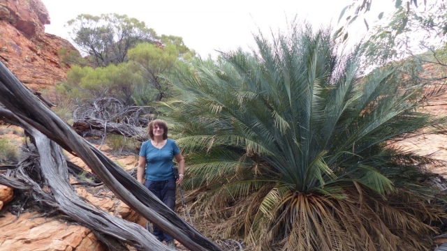 Kings Canyon Walk, Petermann, Northern Territory