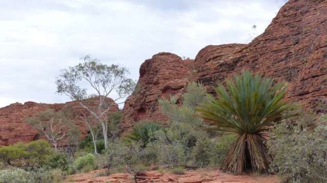 Kings Canyon Walk, Petermann, Northern Territory