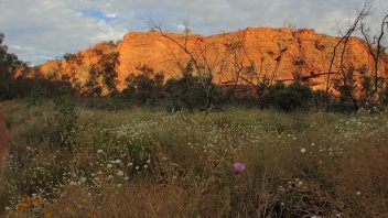 Kathleen Springs, Petermann, NT