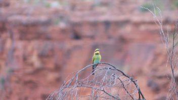 Kathleen Springs, Petermann, NT