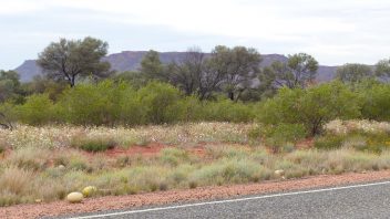 Larapinta Drive, NT