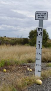 Larapinta Drive, NT