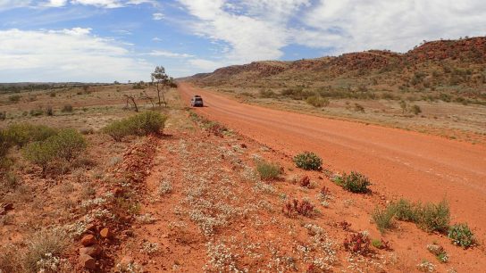 Larapinta Drive, NT