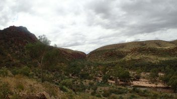 Redbank Gorge, Mount Zeil, Northern Territory