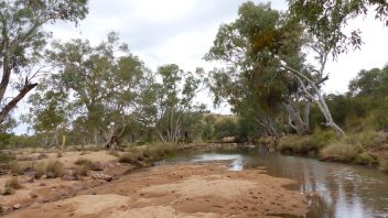 Redbank Gorge, Mount Zeil, Northern Territory