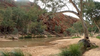 Redbank Gorge, Mount Zeil, Northern Territory