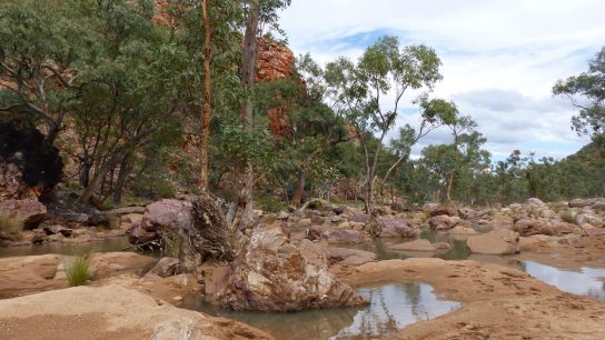Redbank Gorge, Mount Zeil, Northern Territory