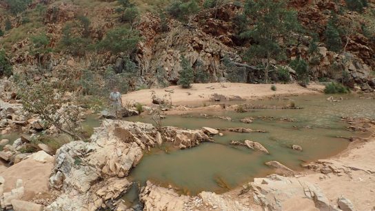 Redbank Gorge, Mount Zeil, Northern Territory