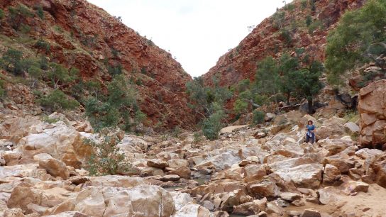 Redbank Gorge, Mount Zeil, Northern Territory