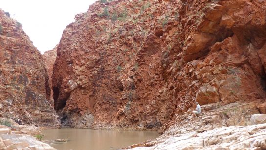 Redbank Gorge, Mount Zeil, Northern Territory