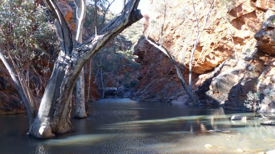 Serpentine Gorge, Namatjira, Territoire du Nord