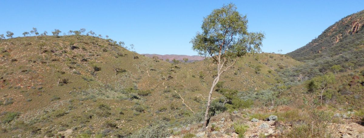 Ellery Creek Big Hole, Namatjira, Northern Territory