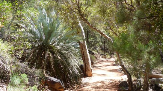 Standley Chasm, Hugh, Northern Territory