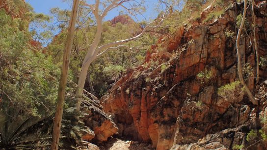 Standley Chasm, Hugh, Northern Territory