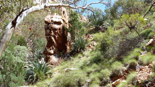 Standley Chasm, Hugh, Northern Territory