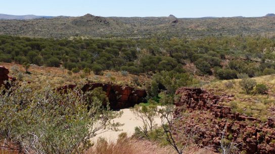 Trephina Gorge, Hart, NT