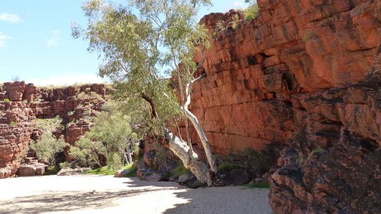 Trephina Gorge, Hart, NT