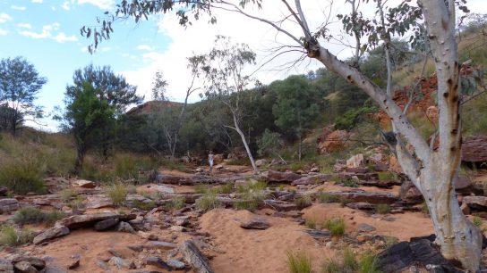 John Hayes Rockhole, Hart, NT