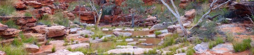 John Hayes Rockhole, Hart, NT