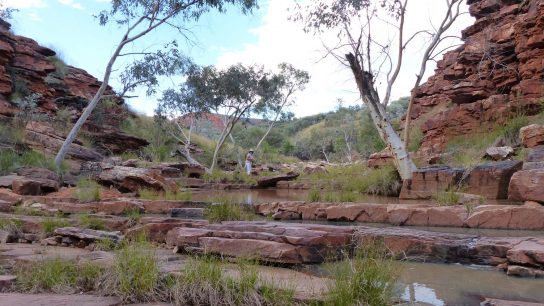 John Hayes Rockhole, Hart, NT