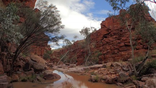 John Hayes Rockhole, Hart, NT