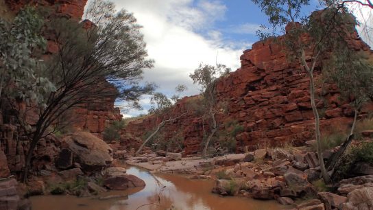 John Hayes Rockhole, Hart, NT