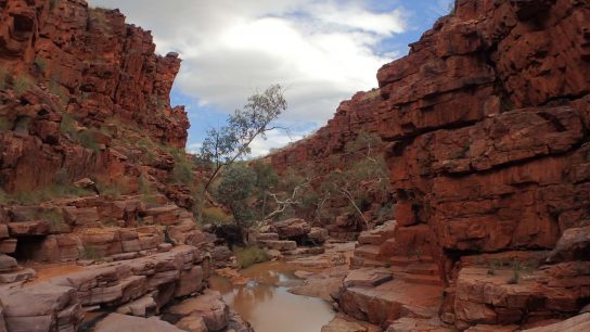 John Hayes Rockhole, Hart, NT