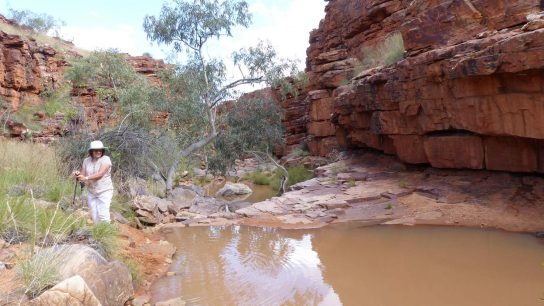 John Hayes Rockhole, Hart, NT