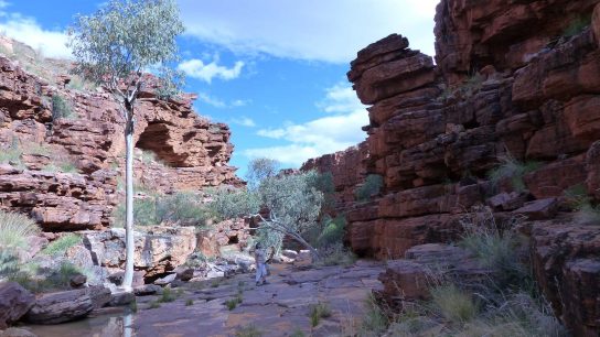 John Hayes Rockhole, Hart, NT