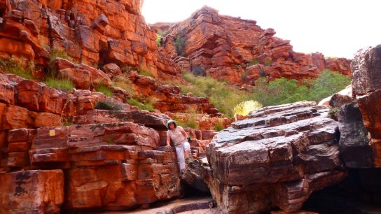 John Hayes Rockhole, Hart, NT