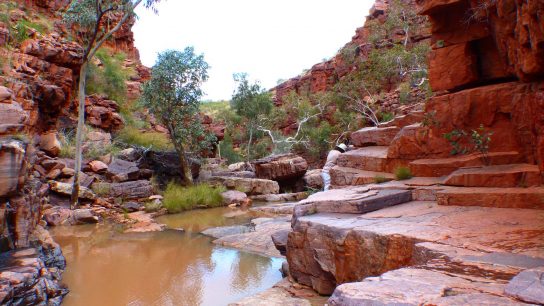 John Hayes Rockhole, Hart, NT