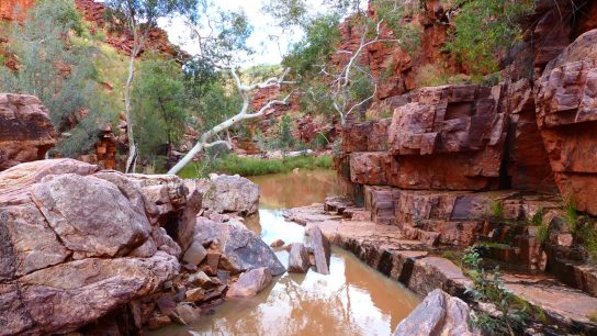 John Hayes Rockhole, Hart, NT