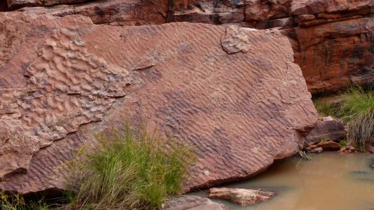 John Hayes Rockhole, Hart, NT