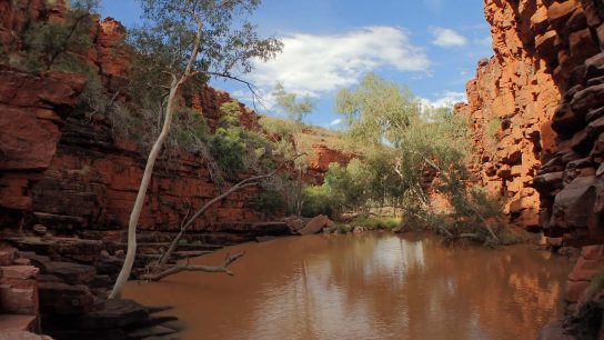 John Hayes Rockhole, Hart, NT