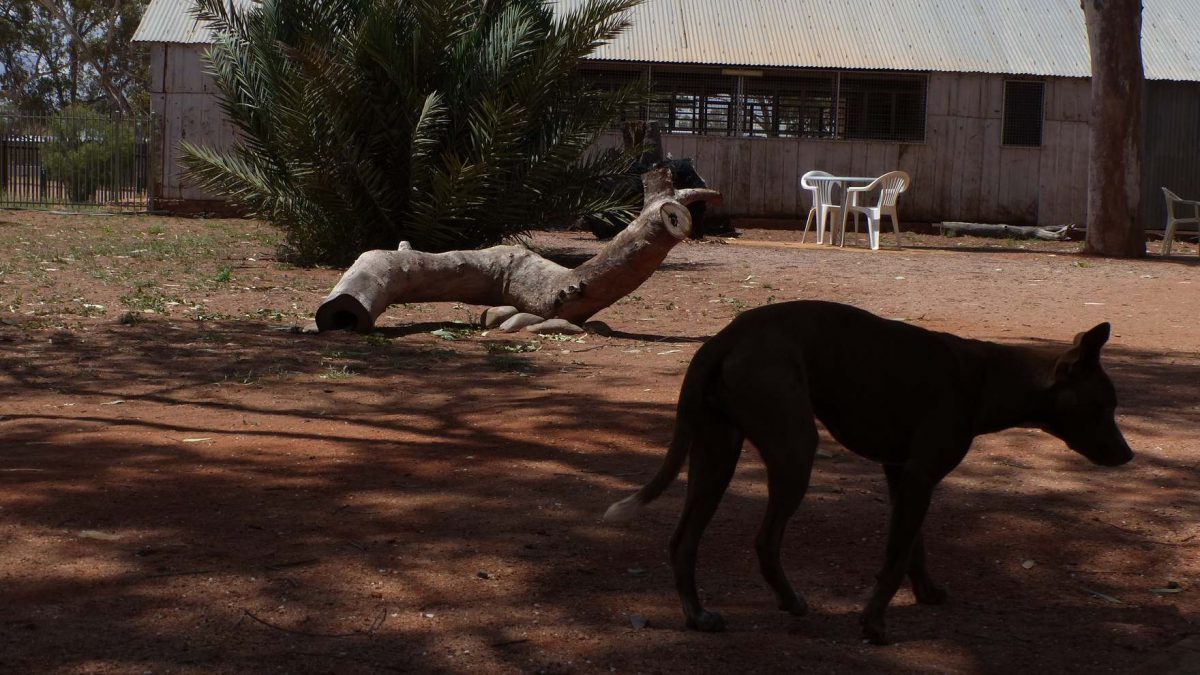 Hermannsburg, Northern Territory